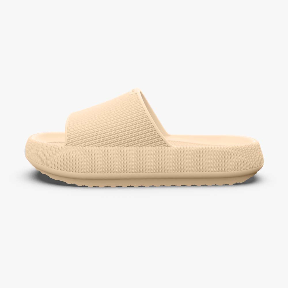 #farbe_beige